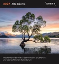 Cover: Alte B&auml;ume - KUNTH Postkartenkalender 2027 - Kunth Verlag