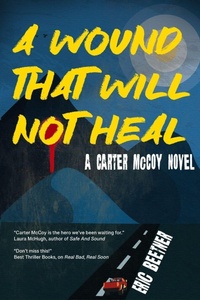 Enlarge image Cover: A Wound That Will Not Heal - LEVEL BEST BOOKS