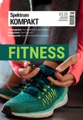 Cover: Spektrum Kompakt 3/2026 - Fitness - Spektrum der Wissenschaft