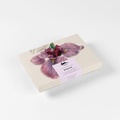 Cover: Botanical - Pepin Press
