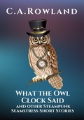 Cover: What the Owl Clock Said - C.A. Rowland