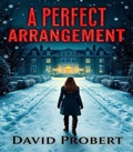 Cover: A Perfect Arrangement - Davidprobertfiction