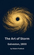 Cover: Art of Storm - Onda Nexus Group