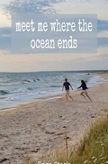 Cover: meet me where the ocean ends - epubli