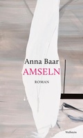 Cover: Amseln - Wallstein