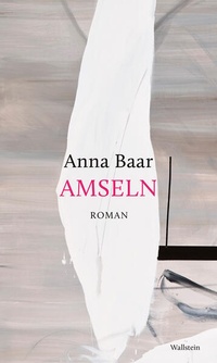 Enlarge image Cover: Amseln - Wallstein