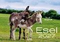Cover: Esel Kalender 2027 - Lempertz Edition und Verlagsbuchhandlung