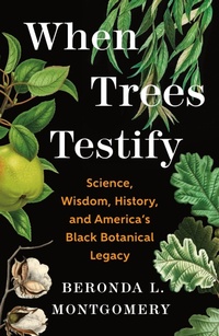 Enlarge image Cover: When Trees Testify - St Martin's Press
