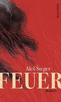 Enlarge image Cover: Feuer - Wallstein
