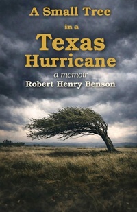 Enlarge image Cover: A Small Tree in a Texas Hurricane - Pauraque Ridge Press