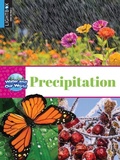 Cover: Precipitation - Lightbox
