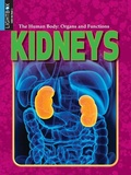 Cover: Kidneys - Lightbox