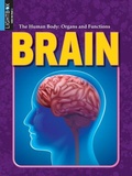 Cover: Brain - Lightbox