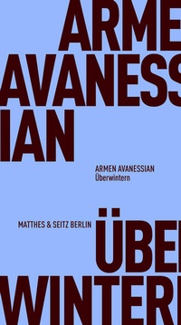 Enlarge image Cover: Überwintern - Matthes & Seitz Berlin