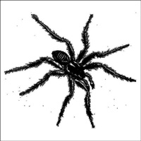 Enlarge image Cover: Tarantismo: Odyssey of an Italian Ritual (Vinyl) - FLEE Project