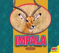 Enlarge image Cover: Impala - Av2