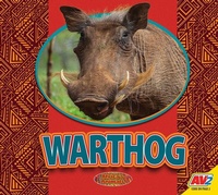 Enlarge image Cover: Warthog - Av2