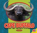 Cover: Cape Buffalo - Av2