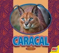 Cover: Caracal - Av2