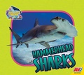 Cover: Hammerhead Sharks - Av2