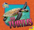 Cover: Sea Turtles - Av2