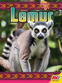 Enlarge image Cover: Lemur - Av2