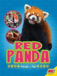 Enlarge image Cover: Red Panda - Av2