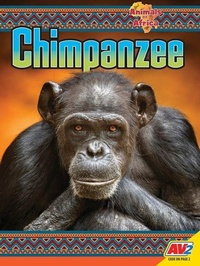 Enlarge image Cover: Chimpanzee - Av2