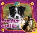 Cover: Border Collie - Av2