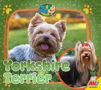 Enlarge image Cover: Yorkshire Terrier - Av2
