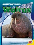 Cover: Walrus - Av2