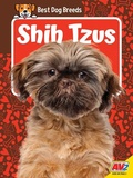 Cover: Shih Tzus - Av2