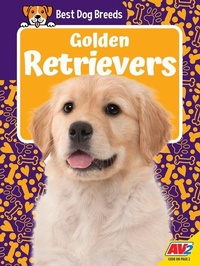 Enlarge image Cover: Golden Retrievers - Av2