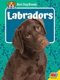 Cover: Labradors - Av2
