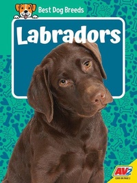 Enlarge image Cover: Labradors - Av2