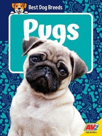 Enlarge image Cover: Pugs - Av2