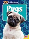 Cover: Pugs - Av2