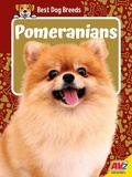 Cover: Pomeranians - Av2