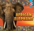 Cover: African Elephant - Av2