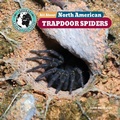 Cover: All about North American Trapdoor Spiders - Little Mitchie