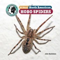 Cover: All about North American Hobo Spiders - Little Mitchie