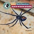 Cover: All about North American Black Widow Spiders - Little Mitchie
