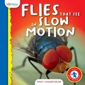 Cover: Flies That See in Slow Motion - Little Mitchie