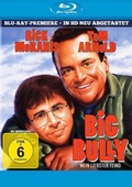 Cover: Big Bully - Mein liebster Feind - Hanse Sound Musik und Film GmbH