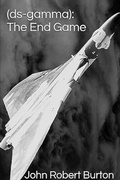Cover: The End Game - Brookscraft Publishing