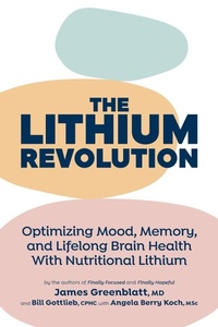 Enlarge image Cover: The Lithium Revolution - FriesenPress