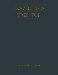 Enlarge image Cover: Travels in a Tree-top - neobooks