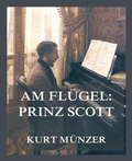 Cover: Am Fl&uuml;gel: Prinz Scott - Jazzybee Verlag