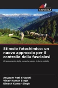 Cover: Stimolo fotochimico - Edizioni Sapienza