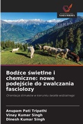 Cover: Bodzce swietlne i chemiczne - Wydawnictwo Nasza Wiedza